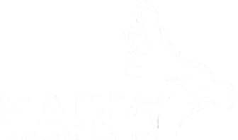 Logo-harpy-reserve