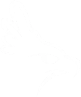 logo-harpy-reserve-image-blanck